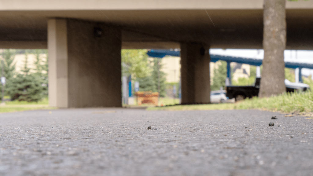 Baby Found under Lake Ave viaduct with passed-out&nbsp;Adults